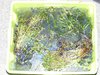 DSCF5528