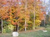DSCF5931