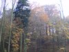 DSCF5915