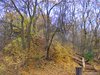 DSCF5874