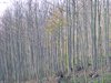 DSCF5895