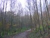 DSCF5886