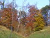 DSCF5891