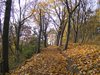 DSCF5927