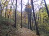 DSCF5921