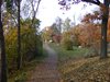 DSCF5928