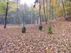 DSCF5917