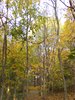 DSCF5958