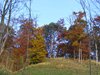 DSCF5890