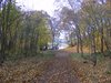 DSCF5881