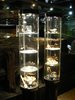 DSCF6826