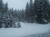 DSCF2569