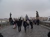 DSCF2520