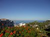 DSCF0614