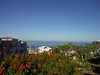 DSCF0615