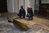 _DSC0560